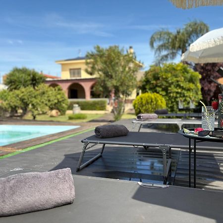 Villa Paquita - Delta De L'Ebre Deltebre Dış mekan fotoğraf