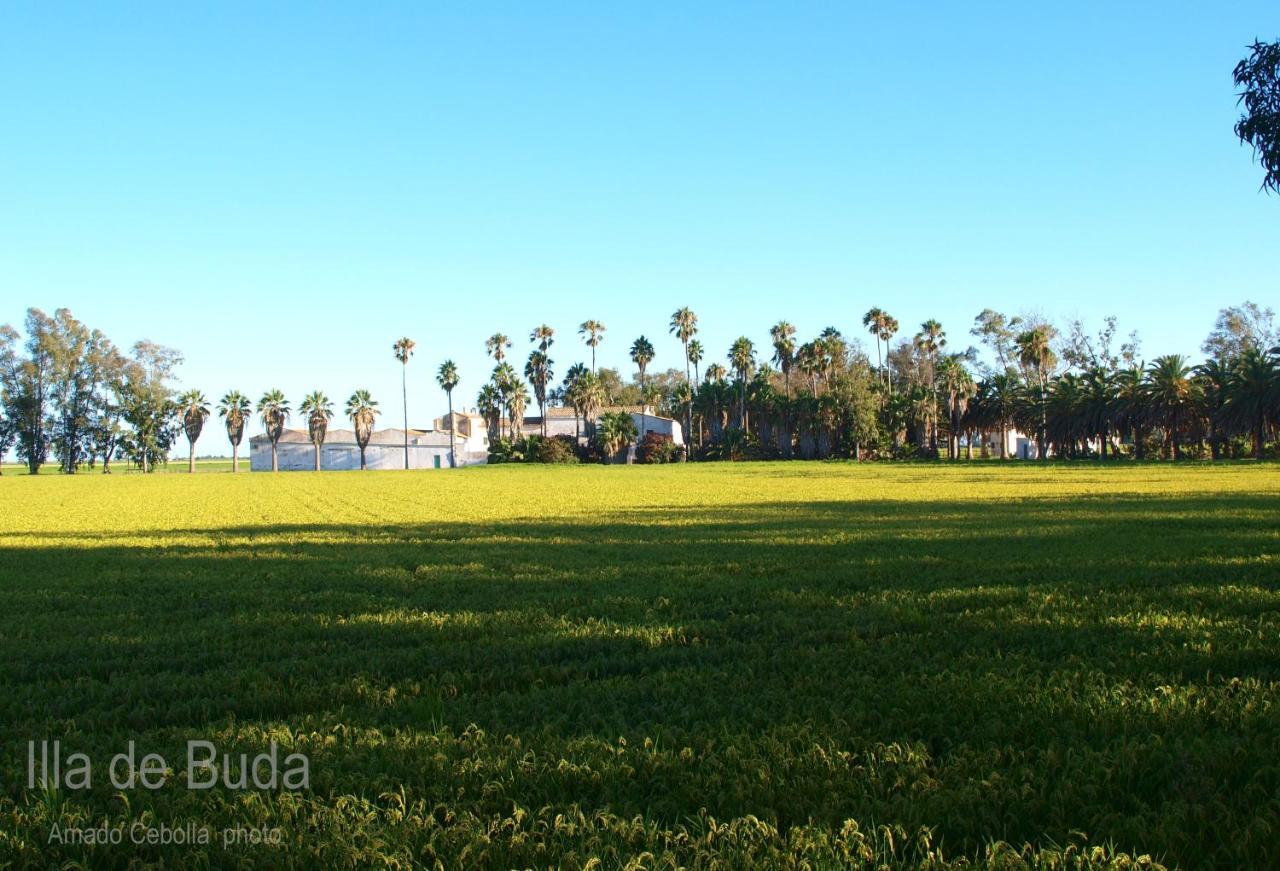 Villa Paquita - Delta De L'Ebre Deltebre Dış mekan fotoğraf