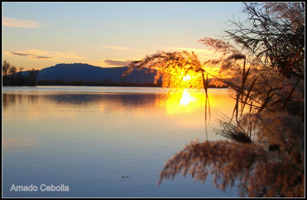 Villa Paquita - Delta De L'Ebre Deltebre Dış mekan fotoğraf
