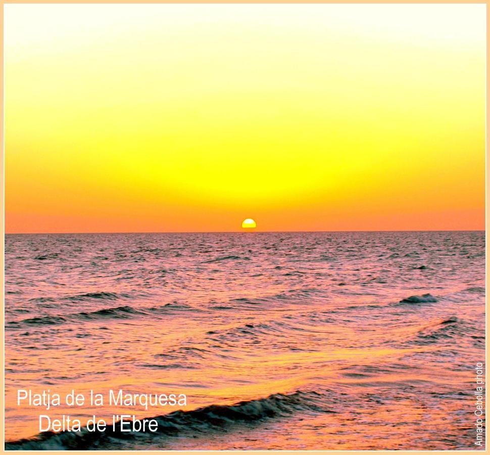 Villa Paquita - Delta De L'Ebre Deltebre Dış mekan fotoğraf