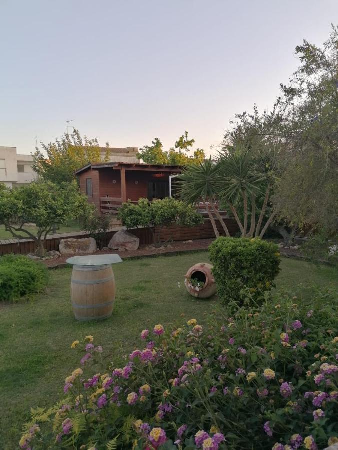 Villa Paquita - Delta De L'Ebre Deltebre Dış mekan fotoğraf