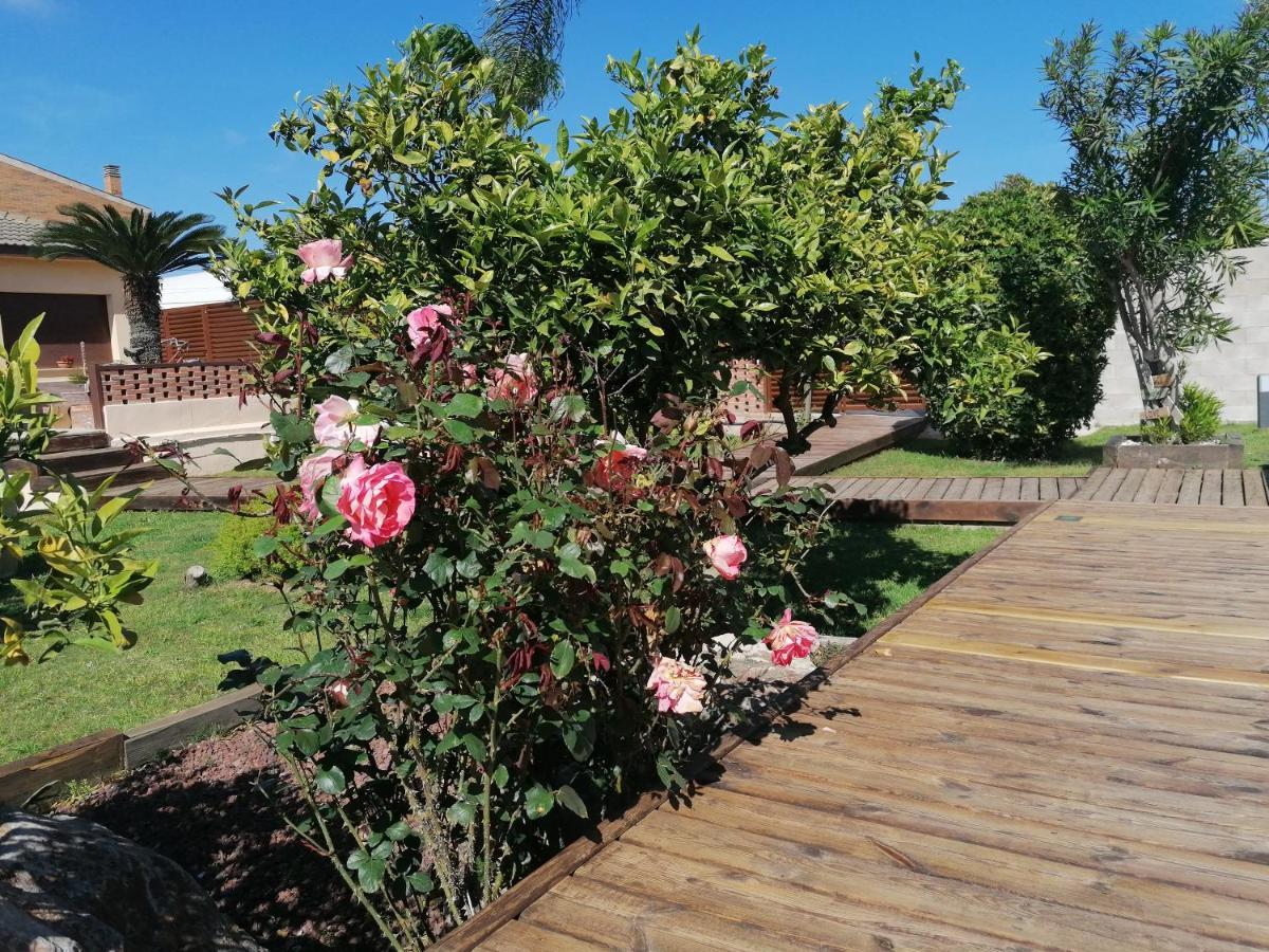 Villa Paquita - Delta De L'Ebre Deltebre Dış mekan fotoğraf